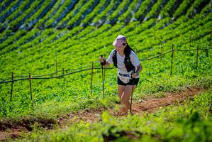 BIB: 
                            <button type="button" onclick="openModal(19162572)" class="btn btn-primary btn-sm float-right btn-popup" data-toggle="modal" data-target=".modal-high-quality">
                        <i class="fas fa-shopping-cart"></i> Add to Cart
                    </button>
                                            <button type="button" onclick="isThisMe(19162572, true)" class="btn btn-success btn-sm float-right btn-popup btn-isme hidden" data-toggle="tooltip" data-placement="bottom" title="นี่คือรูปของคุณใช่ไหม คลิกที่นี่เพื่อเอาเข้าอัลบั้ม">
                        <i class="fas fa-plus"></i> Add to album
                    </button>
                    <button type="button" onclick="isThisMe(19162572, false)" class="btn btn-warning btn-sm float-right btn-popup btn-isnotme hidden">
                        <i class="fas fa-ban"></i> Remove from album
                    </button>